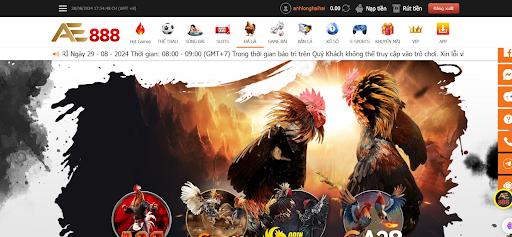 Những lý do người chơi lựa chọn Ae888