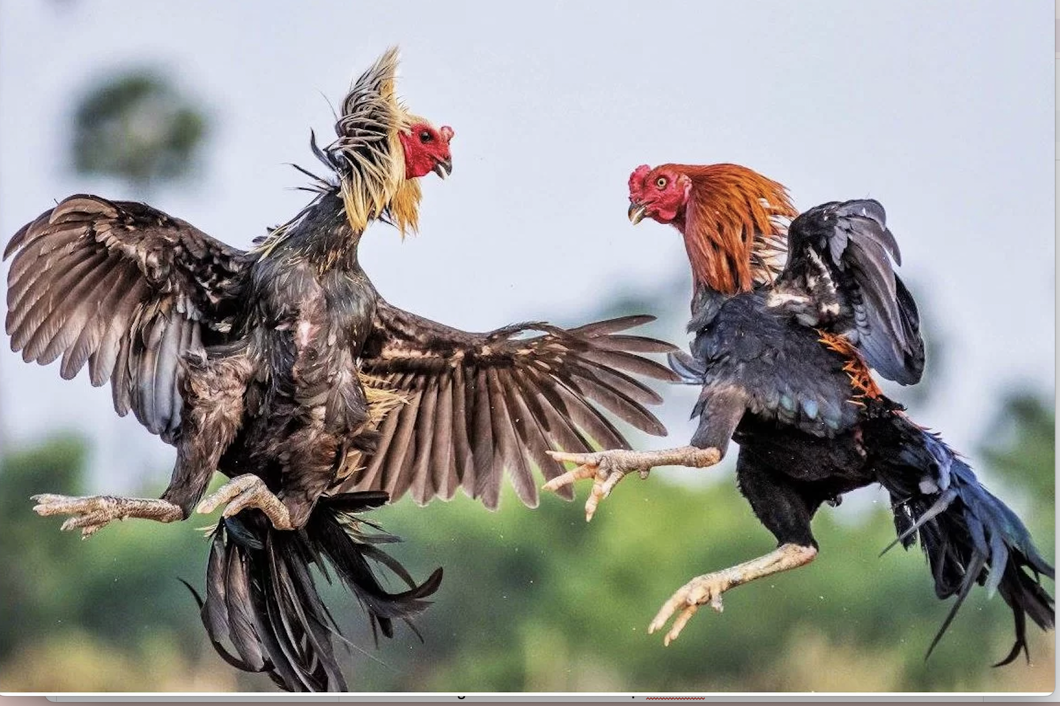 Hướng Dẫn Rút Tiền Tại Nhà Cái Ga6789