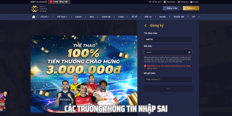 Các thông tin nhập sai có thể là nguyên nhân khiến đăng ký MCW bị lỗi