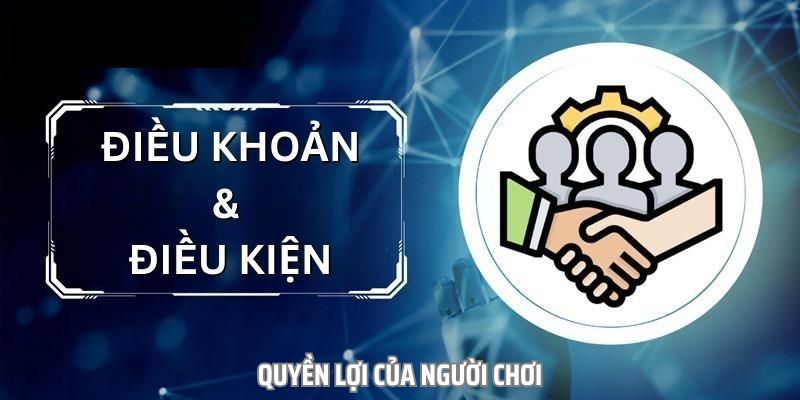 Điều khoản và điều kiện về quyền của hội viên khi tham gia Zomclub