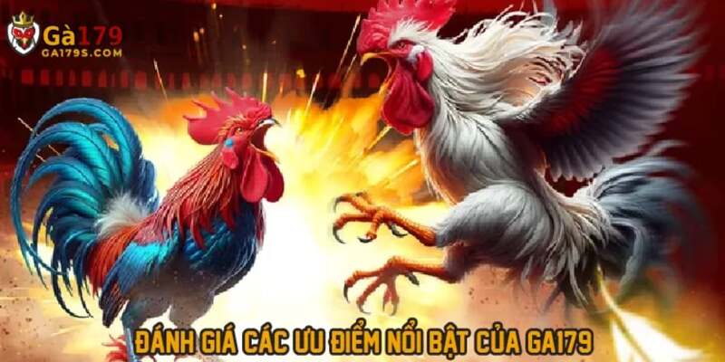 Lý do nên chọn lựa nhà cái hiện nay