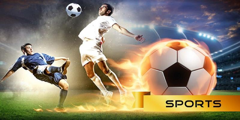 Hiểu biết sâu về môn thể thao bạn đặt cược kèo nhà cái