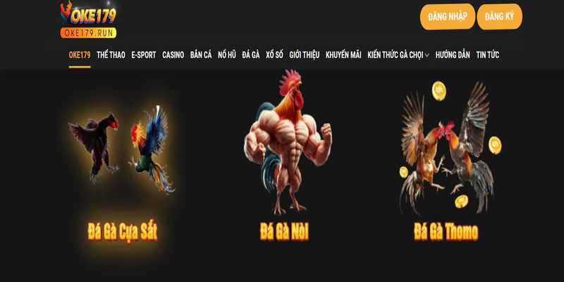Thông tin chung tại OK 179 sẽ giúp bạn hiểu rõ mọi thứ