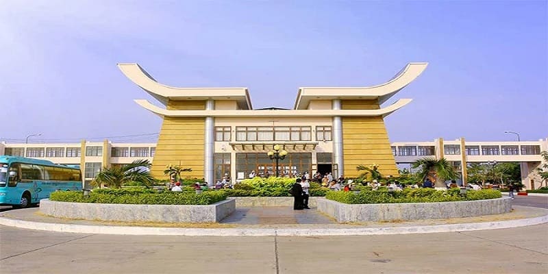 Tổng quan thông tin về Mộc Bài