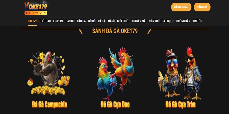 Xác minh tại OK179 là điều cần thiết nhất