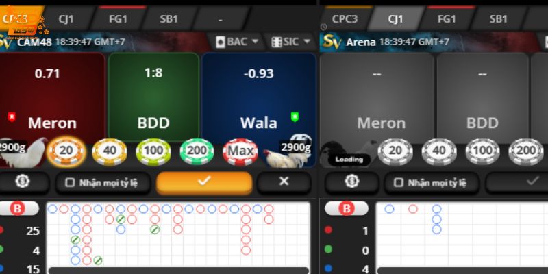 Alo789 cung cấp sảnh đá gà tuyệt đỉnh