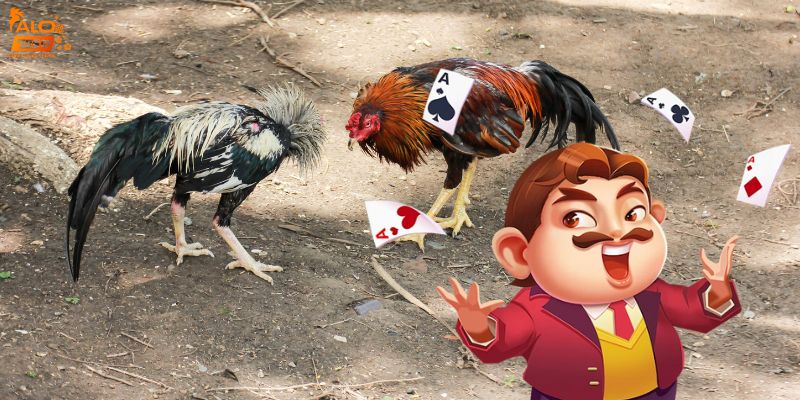 Các điểm gây thương nhớ tại nhà cái Alo789 đá gà