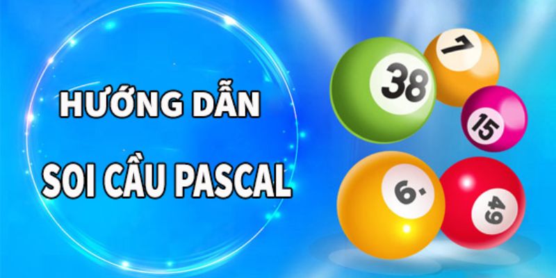 Cách soi cầu Pascal chuẩn xác nhất