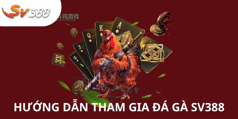 SV388 - Thỏa Mãn Đam Mê Cùng Các Giải Chọi Kê Chuyên Nghiệp 4 Quy trình trải nghiệm chọi kê tại SV388