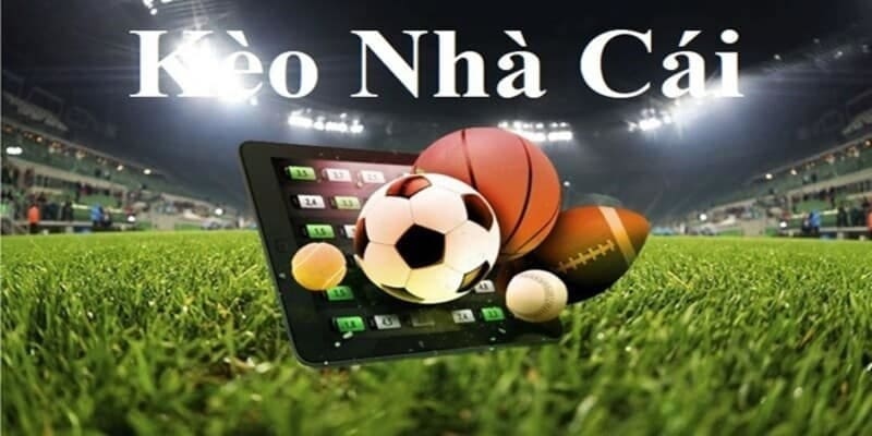 Keo nha cai 5 là nền tảng web mà còn tích hợp ứng dụng di động