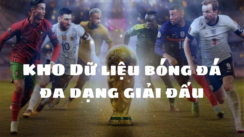 Kho dữ liệu bóng đá đa dạng giải đấu