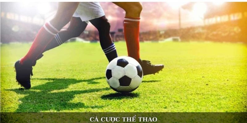 Cá cược thể thao 