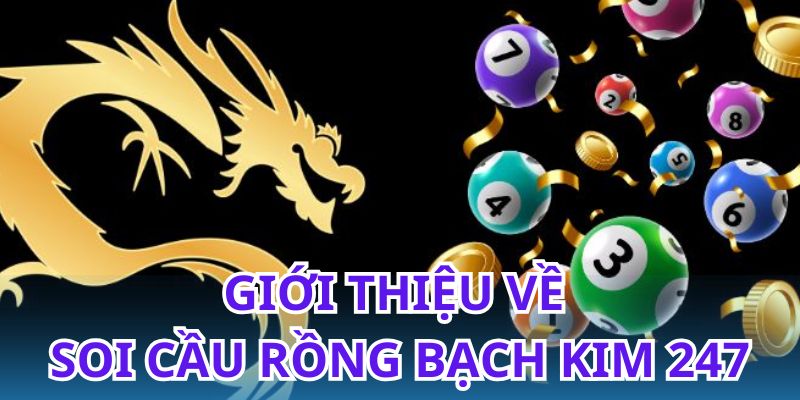 Soi cầu rồng bạch kim 247 - Công cụ hỗ trợ dự đoán chuẩn xác