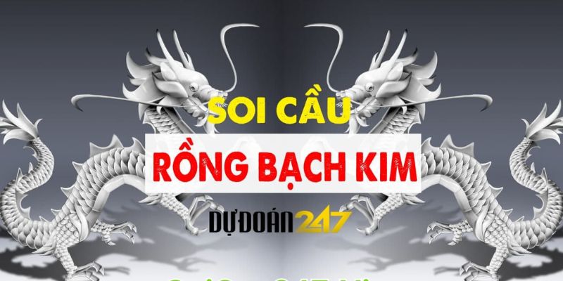 Soi Cầu Rồng Bạch Kim 247: Phương Pháp Hiệu Quả Trên Rongbachkim888.us