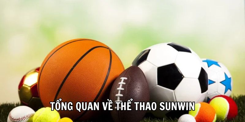 Tổng quan về thể thao Sunwin