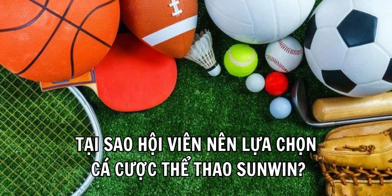 Tại sao hội viên nên lựa chọn cá cược thể thao Sunwin?