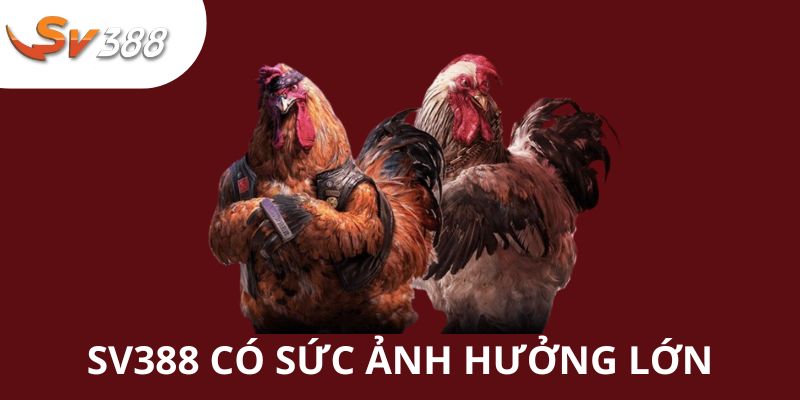 SV388 - Thỏa Mãn Đam Mê Cùng Các Giải Chọi Kê Chuyên Nghiệp 2 Thương hiệu SV388 có ảnh hưởng lớn trên thị trường