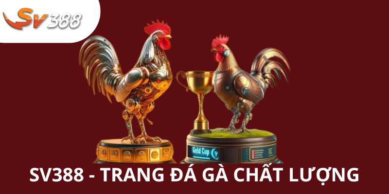 SV388 - Thỏa Mãn Đam Mê Cùng Các Giải Chọi Kê Chuyên Nghiệp 1 SV388