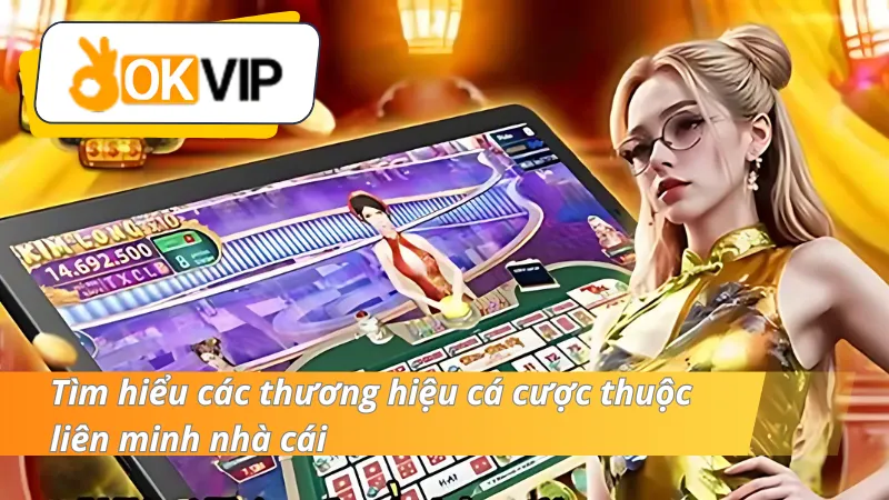 Tìm hiểu các thương hiệu cá cược thuộc liên minh OKVIP