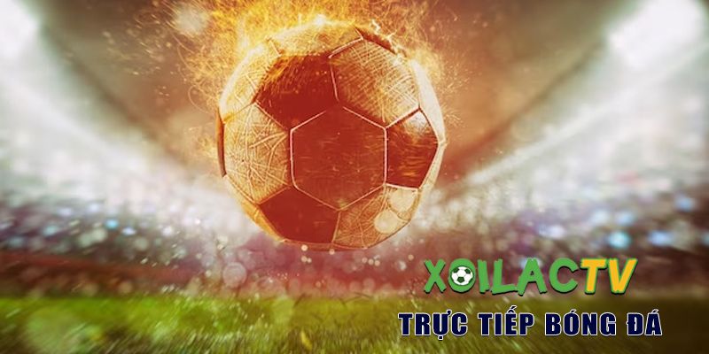 Theo dõi bóng đá với BLV vô cùng thú vị