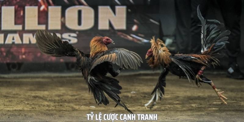 Tỷ lệ cược được sv388 cung cấp cũng cực kỳ cạnh tranh