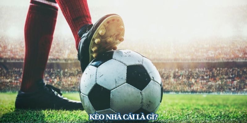 Giải mã kèo nhà cái giúp người chơi hiểu được ý đồ ẩn sau mỗi con số