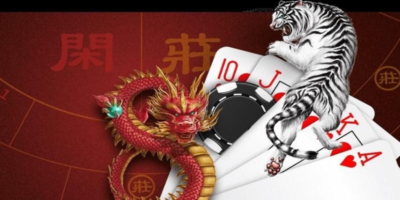 Tổng quan thông tin về rồng hổ EE88