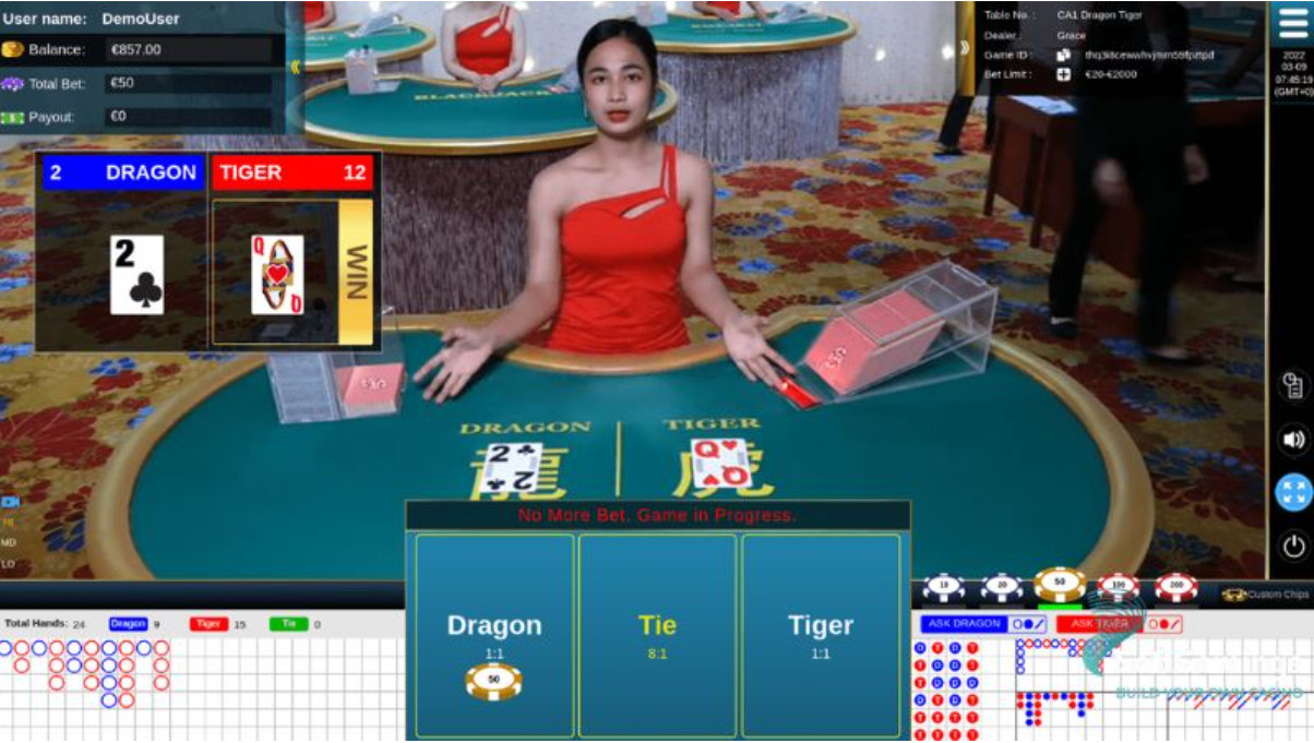 Vấn đề thường gặp khi chơi Rồng Hổ