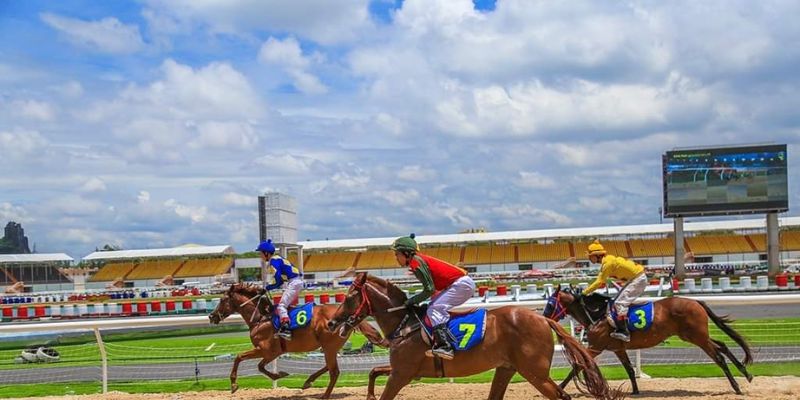 Khám phá 3 loại hình cá cược đua ngựa được yêu thích