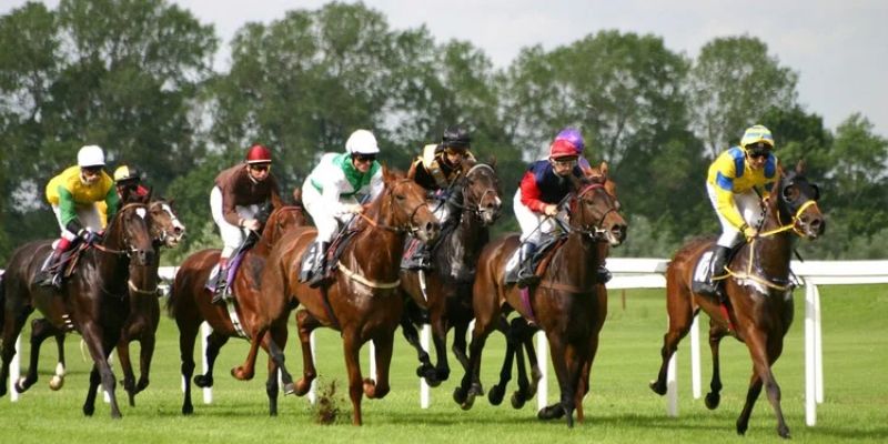 Minh họa về loại hình cá cược đua ngựa được yêu thích