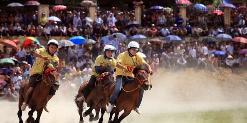 3 điều tác động đến kết quả vé cá cược đua ngựa